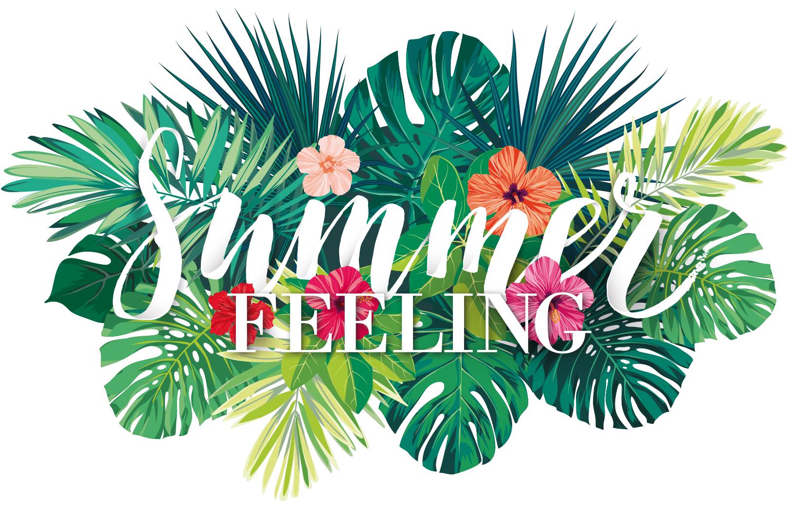 Hofmann / SUMMER FEELING / SMIC! - Events